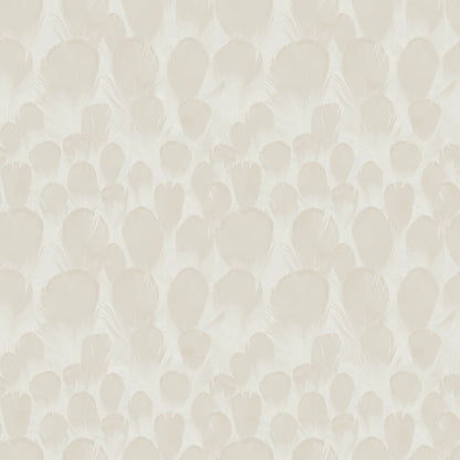 Y6230102 Feathers Wallpaper by Antonina Vella Cream