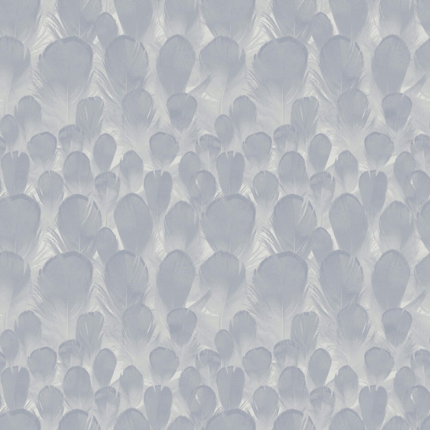 Y6230103 Feathers Wallpaper by Antonina Vella Lavender