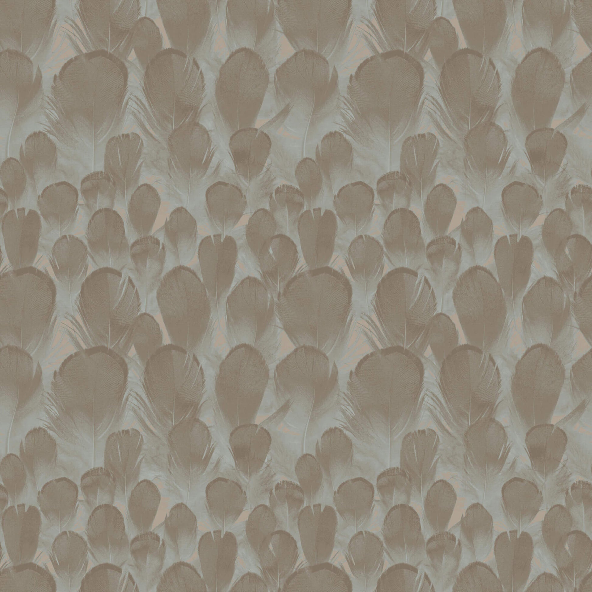 Y6230104 Feathers Wallpaper by Antonina Vella Brown Turquoise
