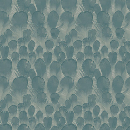 Y6230105 Feathers Wallpaper by Antonina Vella Teal Green