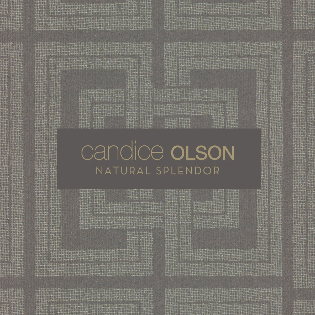 Candice Olson Quad Wallpaper - SAMPLE SWATCH ONLY